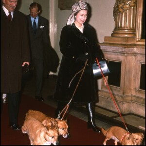 Archives - Elizabeth II et ses chiens à Sandringham en 1992