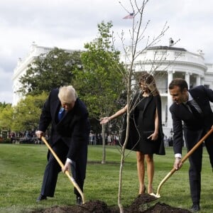 Le président américain Donald Trump, sa femme la Première Dame Melania Trump, le président de la République française Emmanuel Macron et sa femme la Première Dame Brigitte Macron (Trogneux) - Le président américain Donald Trump et le président de la République française Emmanuel Macron plantent ensemble un chêne, dans les jardins de la Maison Blanche, sous les yeux des Premières Dames Melania Trump et Brigitte Macron (Trogneux) à Washington, le 23 avril 2018.