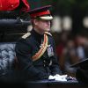 Le prince Harry, rasé de frais, lors de la parade Trooping the Colour le 13 juin 2015 à Londres.