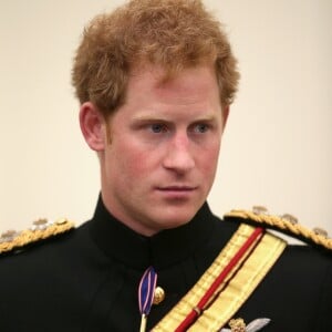 Le prince Harry assiste à une commémoration en grande tenue à Stafford le 11 juin 2015.  11 June 2015. Prince Harry meets Jack Faulkner (R) as he meets families of those who lost their lives in Afghanistan after the unveiling of the Bastion Memorial at The National Memorial Arboretum on June 11, 2015 in Stafford, England.11/06/2015 - Stafford