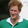 Le prince Harry, bien rasé, au trophée Jerudong, un tournoi de polo, à Cirencester Park le 24 mai 2015 