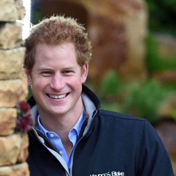 Le prince Harry au salon "RHS Chelsea Flower Show" à Londres le 18 mai 2015