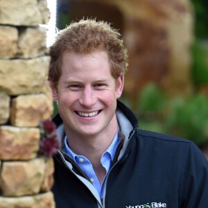 Le prince Harry au salon "RHS Chelsea Flower Show" à Londres le 18 mai 2015