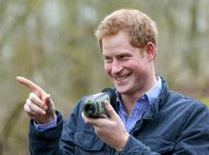 Prince Harry : Barbe ou pas barbe pour son mariage ? Question poil à gratter...