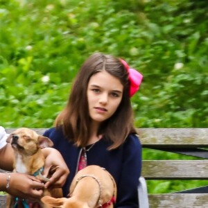 Suri Cruise, une attelle à la cheville, joue avec ses chiens dans un parc à New York, le 23 juin 2018
