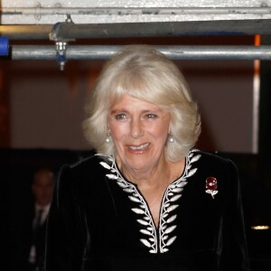 Camilla Parker Bowles, duchesse de Cornouailles - La famille royale d'Angleterre au Royal Albert Hall pour le concert commémoratif "Royal British Legion Festival of Remembrance" à Londres. Le 10 novembre 2018