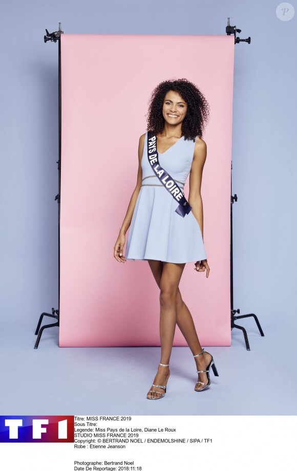 Découvrez les 30 Miss régionales prétendantes au titre de Miss France 2019, une élection qui aura lieu le 15 décembre prochain en direct de Lille.
