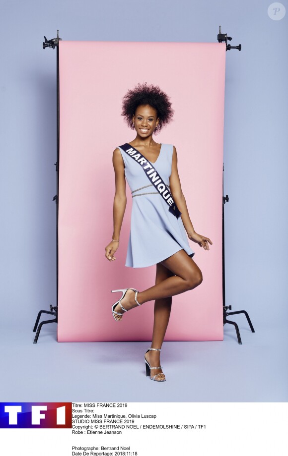 Découvrez les 30 Miss régionales prétendantes au titre de Miss France 2019, une élection qui aura lieu le 15 décembre prochain en direct de Lille.