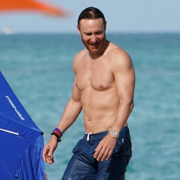 David Guetta et sa compagne Jessica Ledon profitent d'une belle journée ensoleillée en compagnie de leur petit Bulldog sur une plage à Miami le 19 novembre 2018