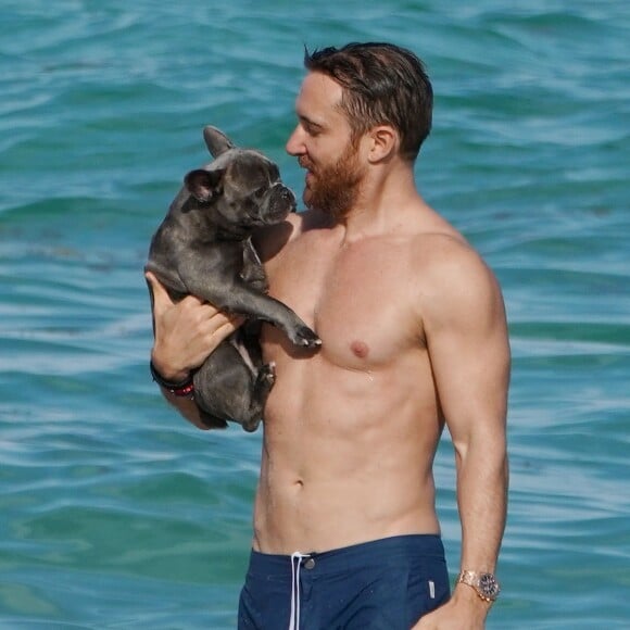 David Guetta et sa compagne Jessica Ledon profitent d'une belle journée ensoleillée en compagnie de leur petit Bulldog sur une plage à Miami le 19 novembre 2018