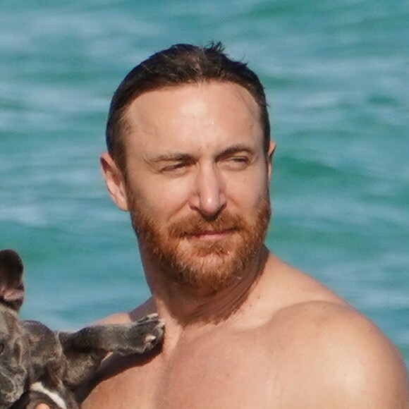 David Guetta et sa compagne Jessica Ledon profitent d'une belle journée ensoleillée en compagnie de leur petit Bulldog sur une plage à Miami le 19 novembre 2018