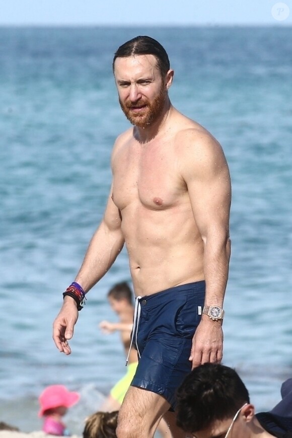 David Guetta et sa compagne Jessica Ledon profitent d'une belle journée ensoleillée en compagnie de leur petit Bulldog sur une plage à Miami le 19 novembre 2018