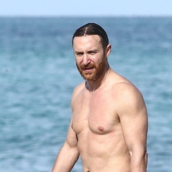 David Guetta et sa compagne Jessica Ledon profitent d'une belle journée ensoleillée en compagnie de leur petit Bulldog sur une plage à Miami le 19 novembre 2018