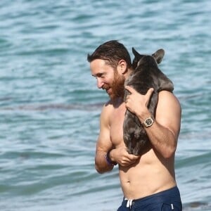 David Guetta et sa compagne Jessica Ledon profitent d'une belle journée ensoleillée en compagnie de leur petit Bulldog sur une plage à Miami le 19 novembre 2018