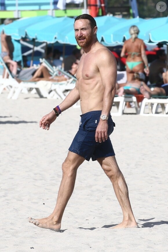 David Guetta et sa compagne Jessica Ledon profitent d'une belle journée ensoleillée en compagnie de leur petit Bulldog sur une plage à Miami le 19 novembre 2018