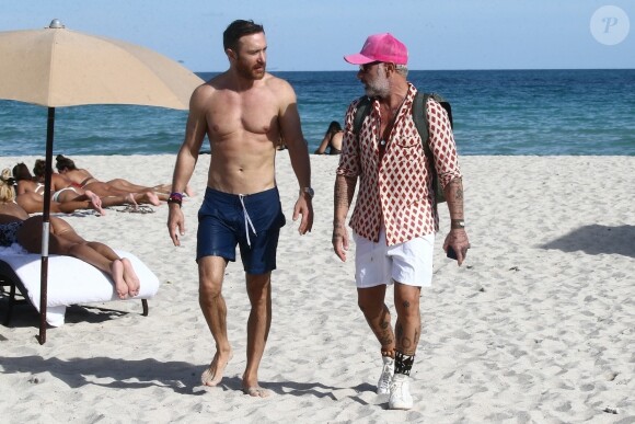 David Guetta et sa compagne Jessica Ledon profitent d'une belle journée ensoleillée en compagnie de leur petit Bulldog sur une plage à Miami. David Guetta retrouve son ami Gianluca Vacchi sur la plage. Le 19 novembre 2018