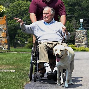 Sully, le fidèle compagnon de George H.W. Bush sur Instagram.