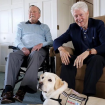 Mort de George H.W. Bush : La triste photo de son chien, loyal jusqu'au bout