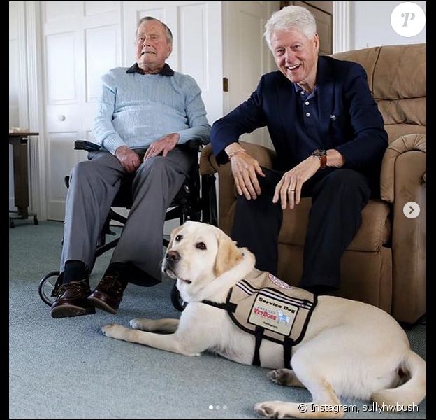 Sully, le fidèle compagnon de George H.W. Bush sur Instagram.