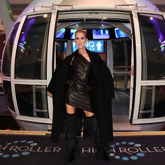 Céline Dion a partagé cette photo d'elle, à Las Vegas, le 10 décembre 2018
