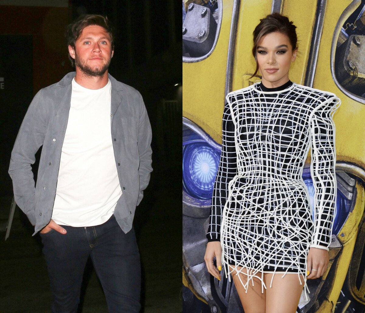 Photo Niall Horan et Hailee Steinfeld. Purepeople