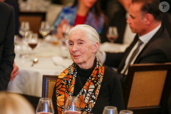 Exclusif - Jane Goodall - Soirée "The Nature Gala - Fondation GoodPlanet" au Pavillon Ledoyen à Paris le 18 décembre 2018. © Philippe Doignon/Bestimage