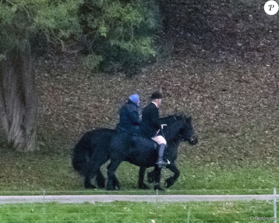 La Reine Elisabeth Ii D Angleterre Monte A Cheval Dans Le Parc Du Chateau De Windsor Le 10 Decembre 2018 Purepeople