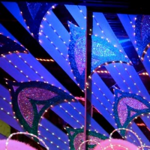 Exclusif - Céline Dion et Pepe Munoz se sont rendus au Moulin Rouge pour applaudir Nora une de leurs amies qui dansait pour la dernière fois sur la scène du célèbre cabaret à Paris le 24 janvier 2019.