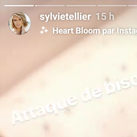 Sylvie Tellier pousse un coup de gueule sur Instagram - lundi 28 janvier 2019