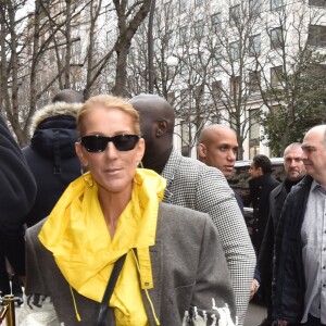 Céline Dion quitte l'hôtel de Crillon à Paris le 29 janvier 2019.