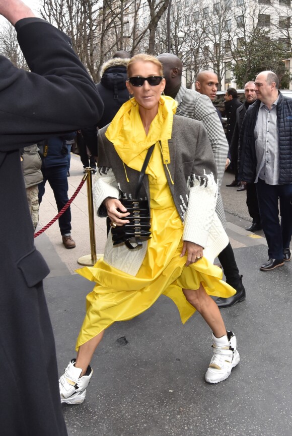 Céline Dion quitte l'hôtel de Crillon à Paris le 29 janvier 2019.
