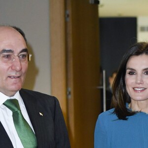 La reine Letizia d'Espagne (robe Zara) lors de la remise des bourses de la Fondation Iberdrola à Madrid le 31 janvier 2019.