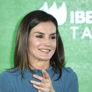 La reine Letizia d'Espagne (robe Zara) lors de la remise des bourses de la Fondation Iberdrola à Madrid le 31 janvier 2019.
