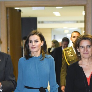 La reine Letizia d'Espagne (robe Zara) lors de la remise des bourses de la Fondation Iberdrola à Madrid le 31 janvier 2019.