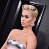 61e édition des GRAMMY Awards à Los Angeles, le 10 février 2019.
