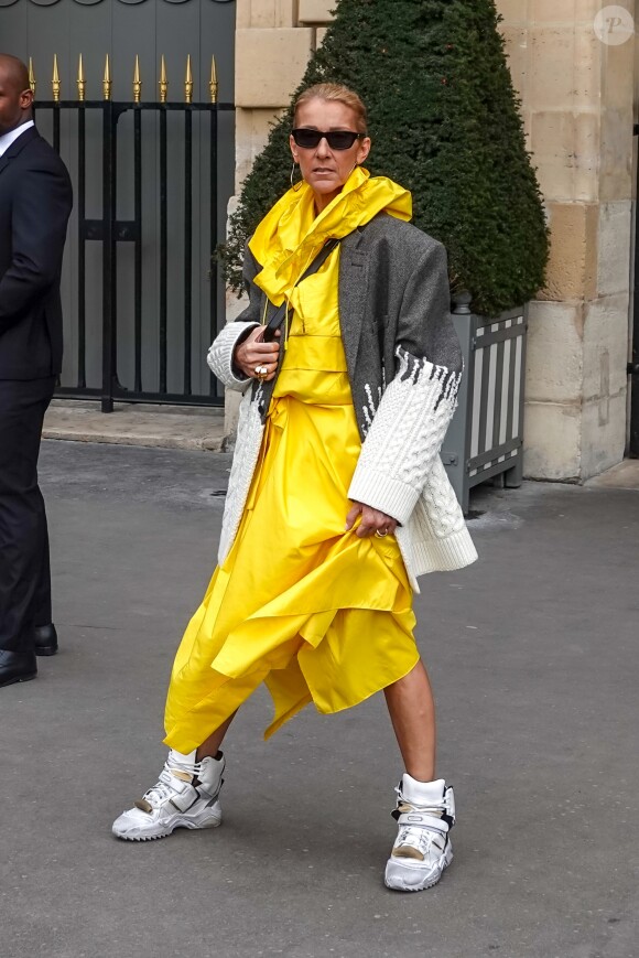 Céline Dion quitte l'hôtel de Crillon pour se rendre à l'hôtel Plaza Athénée à Paris le 29 janvier 2019.