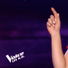 Monstre dans "The Voice 8" sur TF1, le 20 avril 2019.