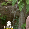 Cyril dans "Koh-Lanta, la guerre des chefs", épisode diffusé vendredi 3 mai 2019 sur TF1.