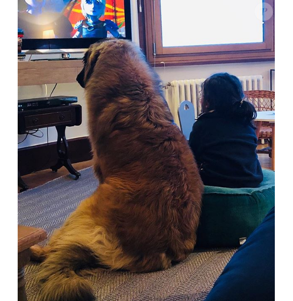 Abbie, la fille de Faustine Bollaert et Maxime Chattam, devant la télé avec leur chien - Instagram, 7 avril 2019
