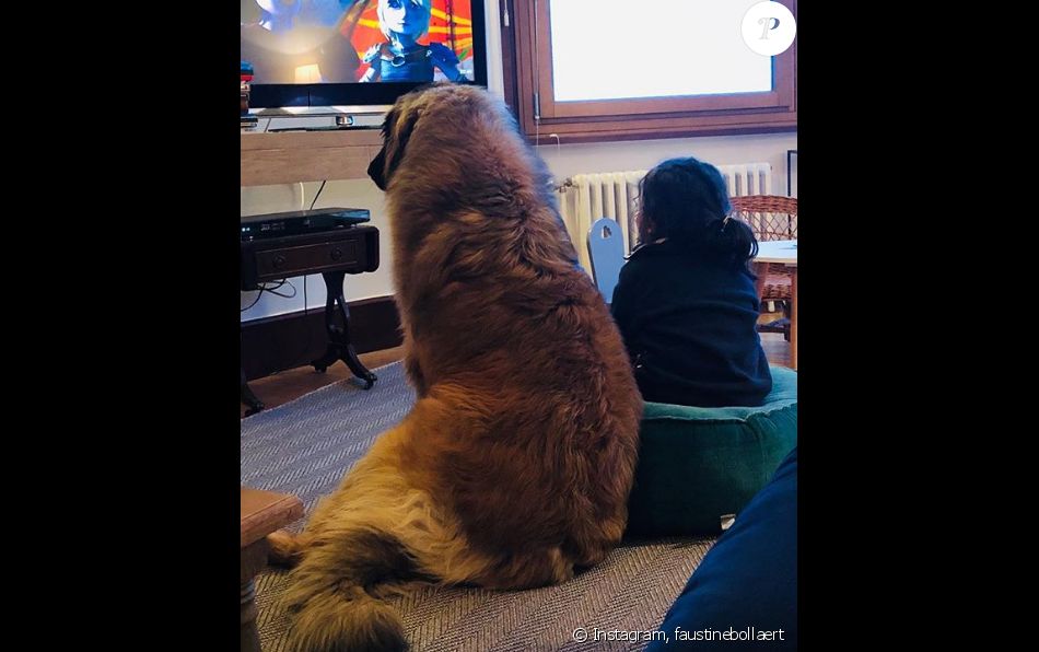 Abbie La Fille De Faustine Bollaert Et Maxime Chattam Devant La Tele Avec Leur Chien Instagram 7 Avril 19 Purepeople