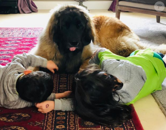 Abbie, Peter les enfants de Faustine Bollaert et leur chien - Instagram, 5 mars 2019