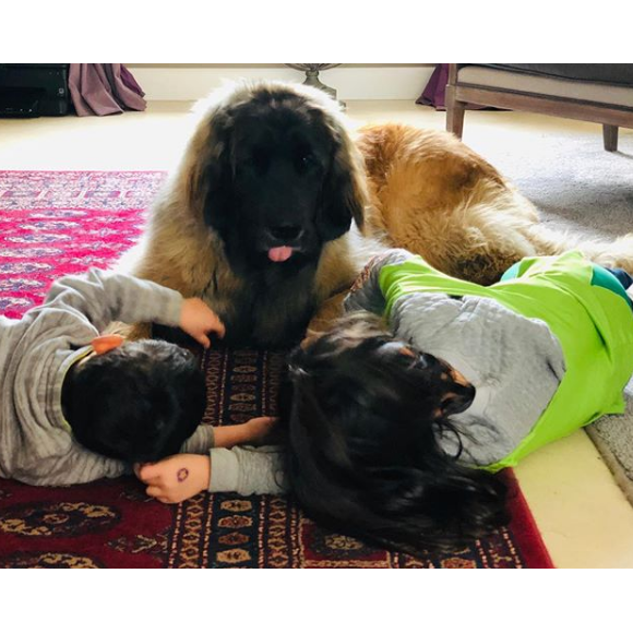 Abbie, Peter les enfants de Faustine Bollaert et leur chien - Instagram, 5 mars 2019