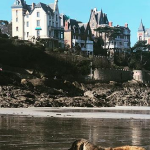 Abbie, la fille de Faustine Bollaert et Maxime Chattam, en Bretagne - Instagram, 22 février 2019