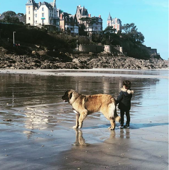 Abbie, la fille de Faustine Bollaert et Maxime Chattam, en Bretagne - Instagram, 22 février 2019