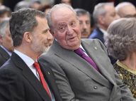 Juan Carlos Ier d'Espagne se retire : sa lettre émouvante à son fils Felipe VI
