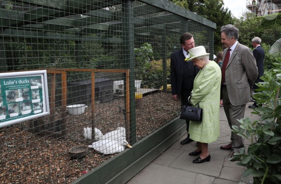 La reine Elizabeth II en visite à la ferme Gorgie City à Édimbourg, le 4 juillet 2019.