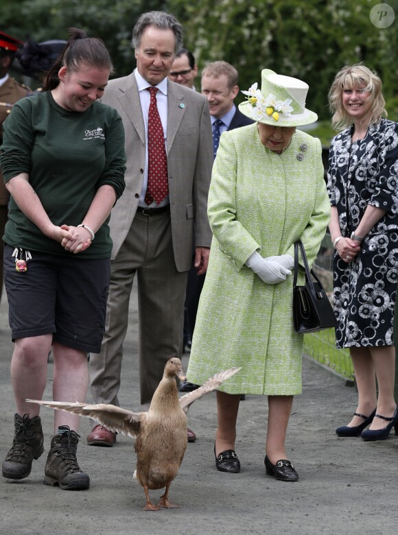La reine Elizabeth II en visite à la ferme Gorgie City à Édimbourg, le 4 juillet 2019.