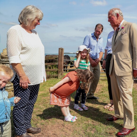 Le prince Charles en visite au Pays de Galles le 4 juillet 2019