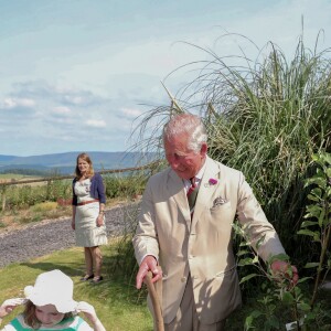 Le prince Charles en visite au Pays de Galles le 4 juillet 2019