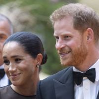 Prince Harry : Cette surprenante coquetterie qu'il partage avec Meghan